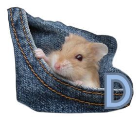 PocketMouseswt_D.jpg