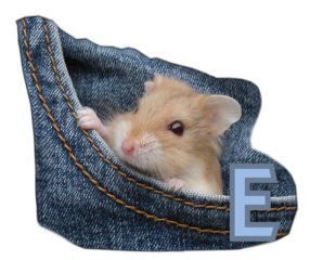 PocketMouseswt_E.jpg