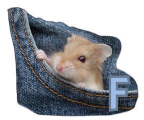 PocketMouseswt_F.jpg