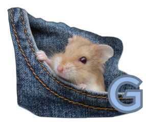 PocketMouseswt_G.jpg