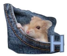 PocketMouseswt_H.jpg