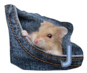 PocketMouseswt_J.jpg