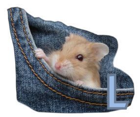 PocketMouseswt_L.jpg