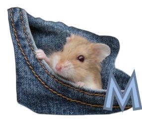 PocketMouseswt_M.jpg