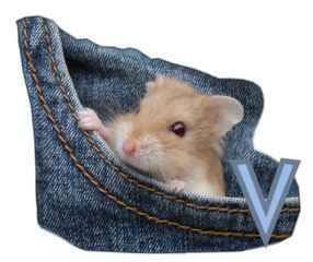 PocketMouseswt_V.jpg