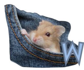 PocketMouseswt_W.jpg