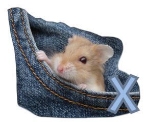 PocketMouseswt_X.jpg