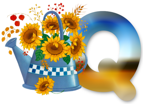 Q-lg.png