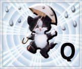 QBEARKITTY~Q.jpg