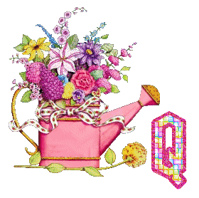 QFlowerPot-vi.gif