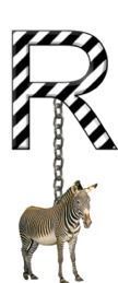 R-Zebra-Charm_ccnan.jpg