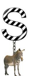 S-Zebra-Charm_ccnan.jpg