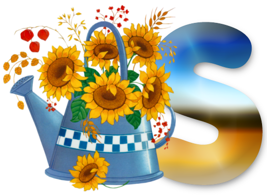 S-lg.png