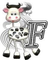 Silly-Cow-F.jpg