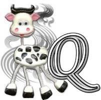 Silly-Cow-Q.jpg