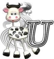 Silly-Cow-U.jpg