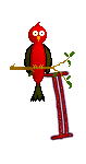 Singing-Red-Bird-Alpha-by-iRiS-I.gif