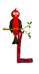 Singing-Red-Bird-Alpha-by-iRiS-L.gif