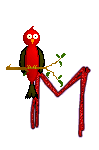 Singing-Red-Bird-Alpha-by-iRiS-M.gif