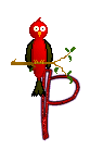 Singing-Red-Bird-Alpha-by-iRiS-P.gif