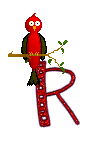 Singing-Red-Bird-Alpha-by-iRiS-R.gif