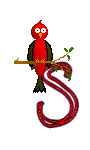 Singing-Red-Bird-Alpha-by-iRiS-S.gif