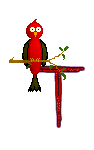 Singing-Red-Bird-Alpha-by-iRiS-T.gif