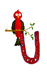 Singing-Red-Bird-Alpha-by-iRiS-U.gif