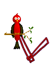 Singing-Red-Bird-Alpha-by-iRiS-V.gif