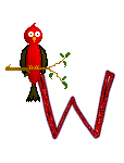 Singing-Red-Bird-Alpha-by-iRiS-W.gif