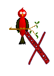 Singing-Red-Bird-Alpha-by-iRiS-X.gif