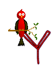 Singing-Red-Bird-Alpha-by-iRiS-Y.gif