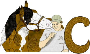 Stetson-West-C.gif