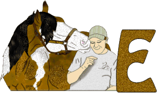 Stetson-West-E.gif