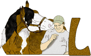 Stetson-West-L.gif