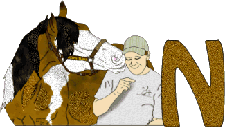 Stetson-West-N.gif