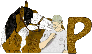 Stetson-West-P.gif