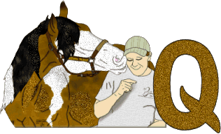 Stetson-West-Q.gif