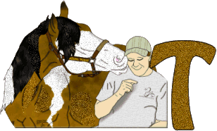 Stetson-West-T.gif