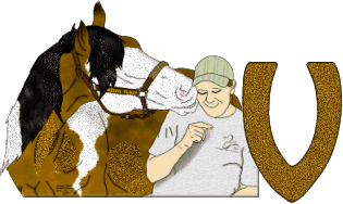 Stetson-West-V.gif