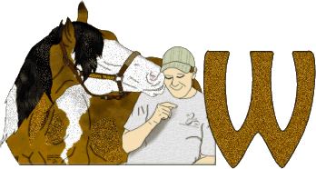 Stetson-West-W.gif