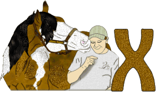 Stetson-West-X.gif