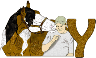 Stetson-West-Y.gif