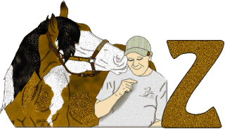 Stetson-West-Z.gif