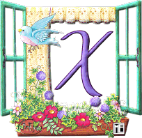 Tami-s-ME-Mother-Goose-Window-X.gif