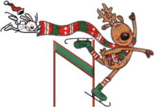 Tami-s-Skating-Reindeer-N.gif