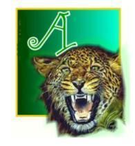 TigerA.jpg
