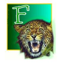 TigerF.jpg