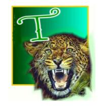 TigerT.jpg