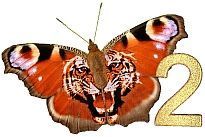 Tiger_Butterfly_2.jpg